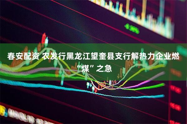 春安配资 农发行黑龙江望奎县支行解热力企业燃“煤”之急
